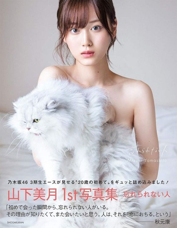 Zukki photo 7